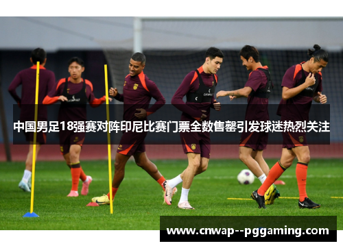 中国男足18强赛对阵印尼比赛门票全数售罄引发球迷热烈关注