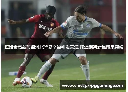 拉维奇高薪加盟河北华夏幸福引发关注 球迷期待新星带来突破